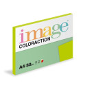 Papír COLORACTION A4 80g/100 Java středně zelená MA42