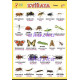 Zvířata - hmyz (100 x 70 cm)