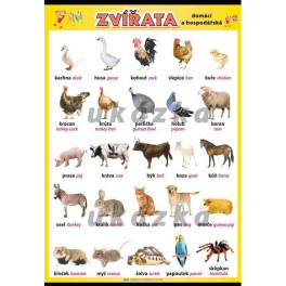 Zvířata - domácí a hospodářská XL (100 x 70 cm)