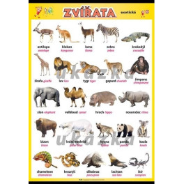 Zvířata - exotická XXL (140 x 100 cm)