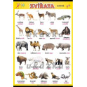 Zvířata - exotická XL (100 x 70 cm)