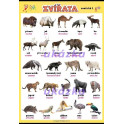 Zvířata - exotická 2 XL (100 x 70 cm)