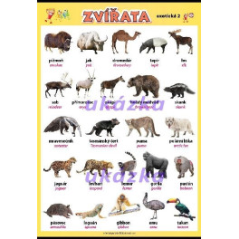 Zvířata - exotická 2 XXL (140 x 100 cm)