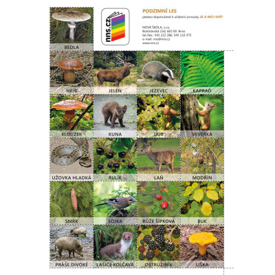 Pexeso Podzimní les (Já můj svět 2)