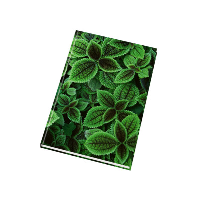 Záznamní kniha A5 - linka, 96 listů, lesk