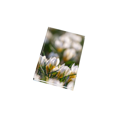 Záznamní kniha A6 - linka, 96 listů, lesk