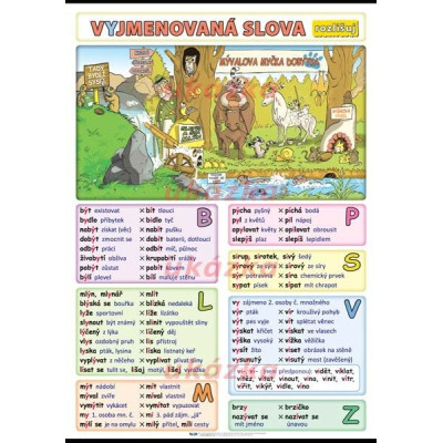 Vyjmenovaná slova - rozlišuj XL (100 x 70 cm)