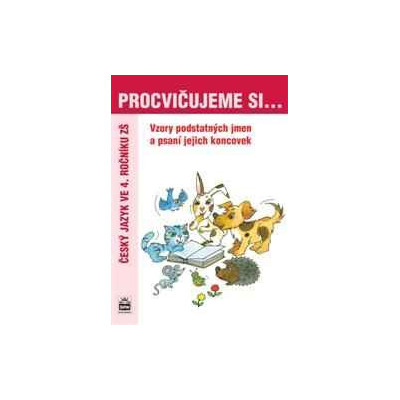 PROCVIČUJEME SI vzory a psaní koncovek podstatných jmen