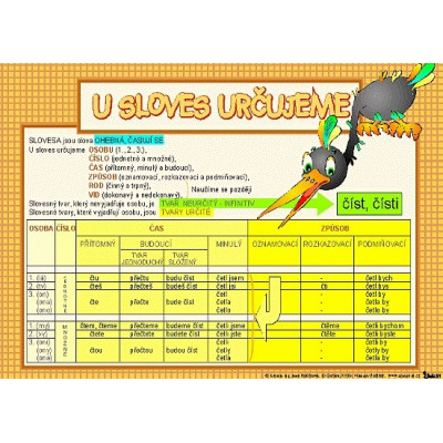 U sloves určujeme / Slovní druhy ohebné, neohebné