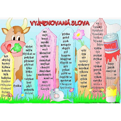 Vyjmenovaná slova - nástěnný obraz