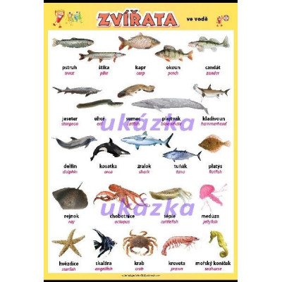 Zvířata - ve vodě XL (100 x 70 cm)