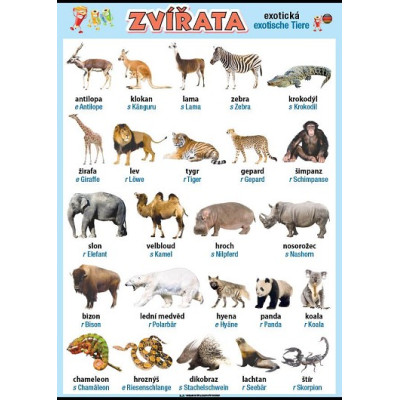Zvířata v němčině - exotická