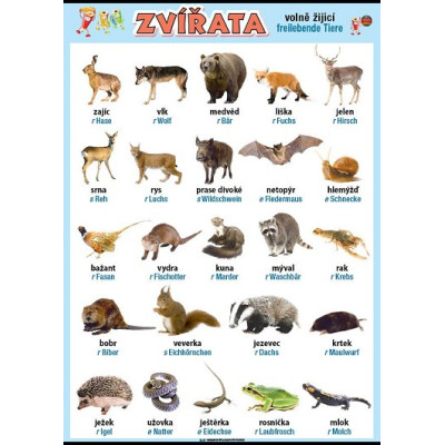 Zvířata v němčině - volně žijící